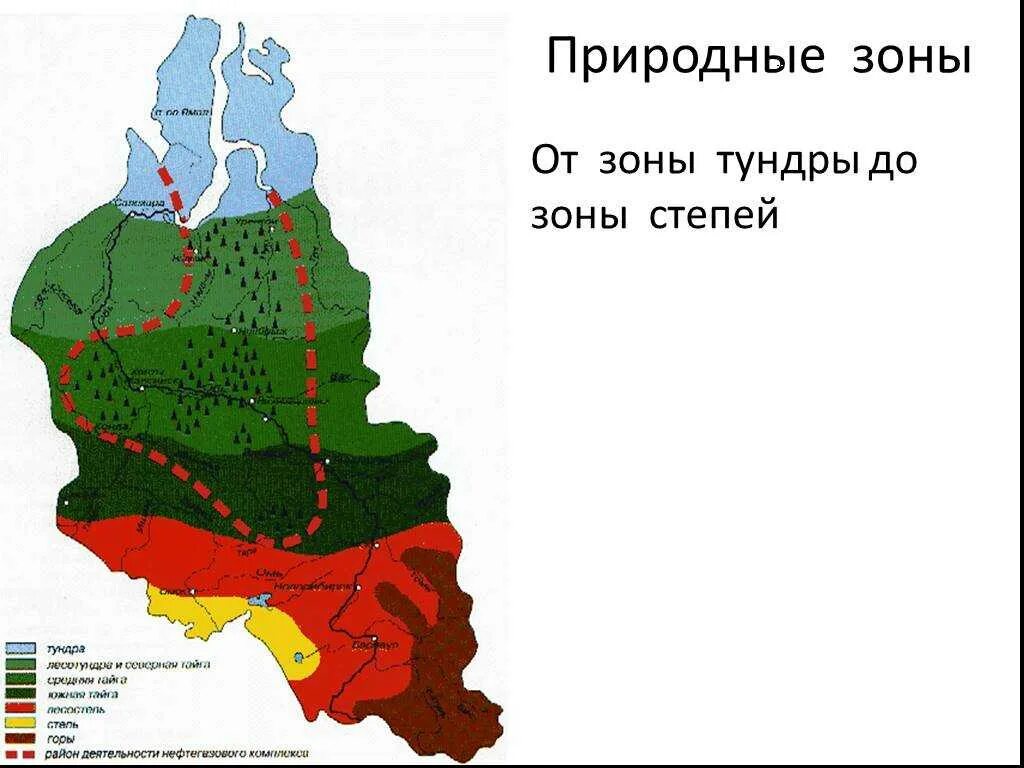 Какая природная зона отсутствует в западной сибири. Карта климатических зон Карелии. Природные зоны Карелии карта. Карта природных зон Красноярского края. Природные зоны Пермского края карта.