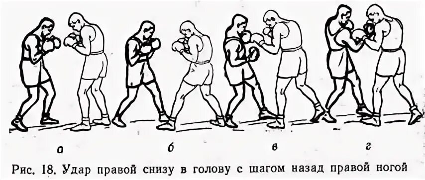 Удар снизу в боксе. Удар в подбородок снизу в боксе. Удар снизу в челюсть в боксе. Удар в боксе с кулака снизу. Ударится правой ногой