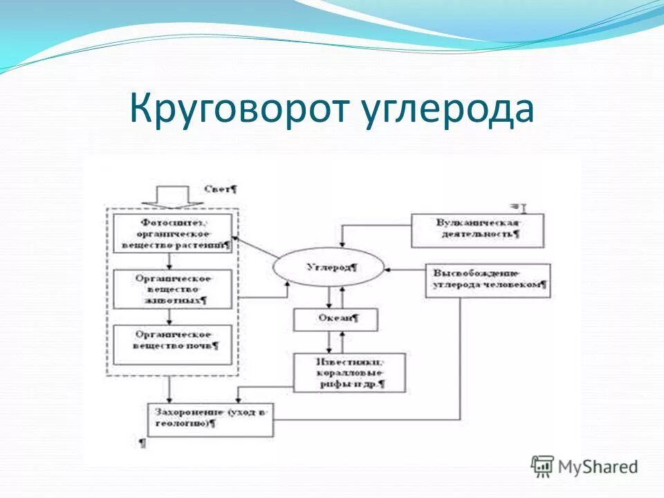Круговорот углерода химия 9 класс. Цикл углерода схема. Биологический круговорот углерода схема. Процесс круговорота углерода. Биогеохимический цикл углерода схема.