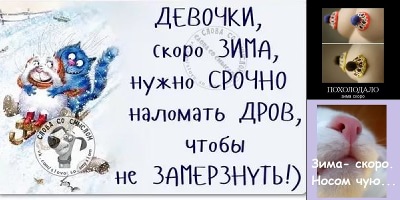 скоро зима шутки