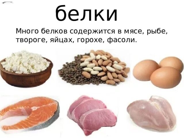 В рыбе содержится много. Белок содержится. в чем содержится белок. в чем много белка. в орехах содержится белок.
