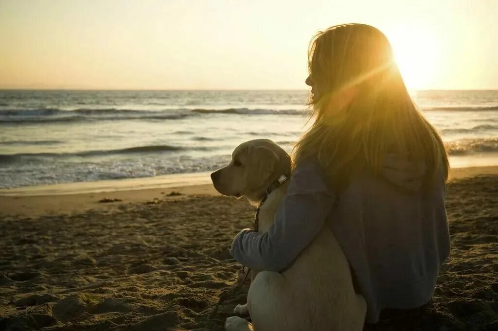 Девушка с овчаркой со спины. Девушка с собакой на закате. Девочка с собакой спиной. Девушка с немецкой овчаркой. Девушка с овчаркой.