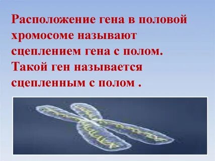 Изменение генов называется