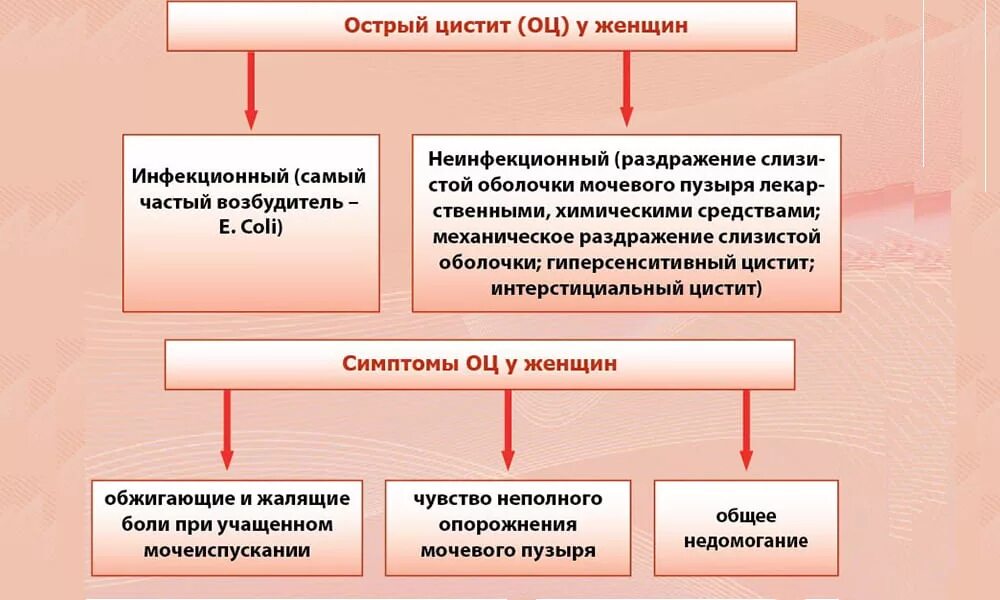 Предпосылки цистита. Цистит у женщин симптомы и причины. Причины цистита у женщин. Схема лечения при хроническом цистите. Цистит причины.