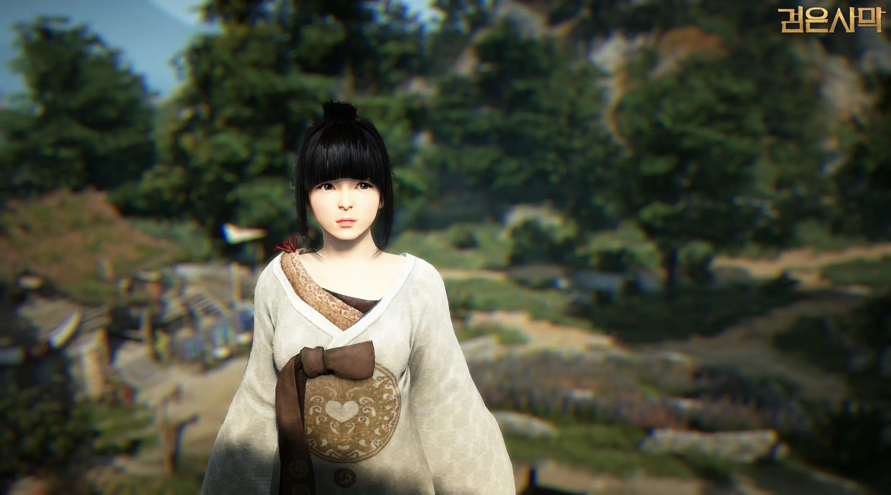 Black Desert 4к. Корейская ММОРПГ Black Desert. Black Desert Мистик. РПГ Black Desert.