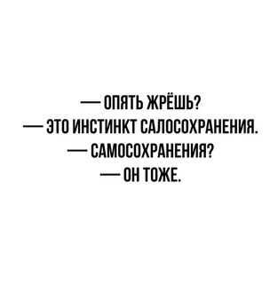 Отсутствуют инстинкты самосохранения
