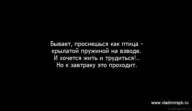 Бывает проснешься как птица. Бывает проснешься как. Бывает проснешься крылатой. Бывает проснешься как птица крылатой пружиной на взводе. Бывает крылатым