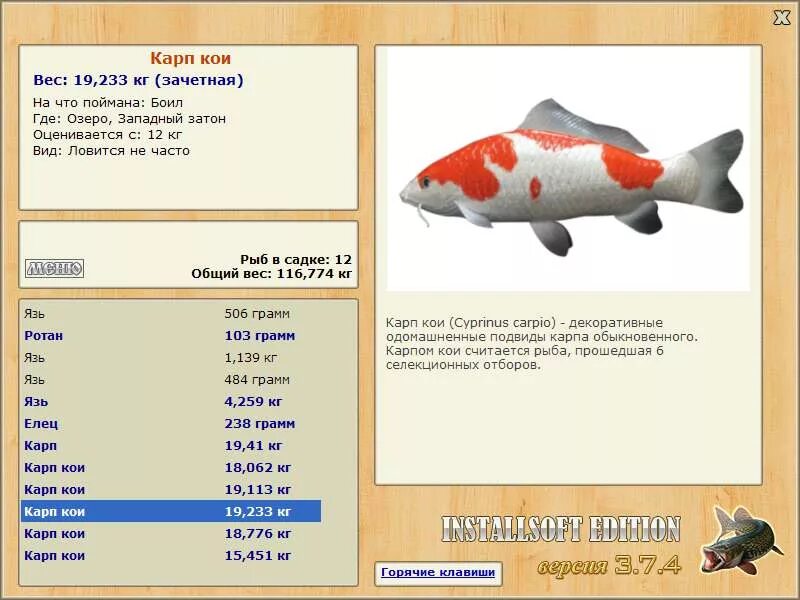 Белый амур карп сазан. Пресноводные рыбы названия. Рыба мороженая ассортимент. Какая рыба считается домашней. Рыба съедобная.