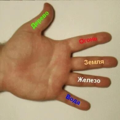 Усин традиционная китайская медицина. Водный тип руки хиромантия. Типы рук в хиромантии. Стихии на пальцах. Стихии по пальцам руки.