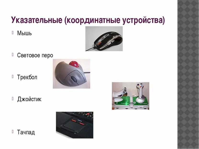 Мышь это устройство вывода