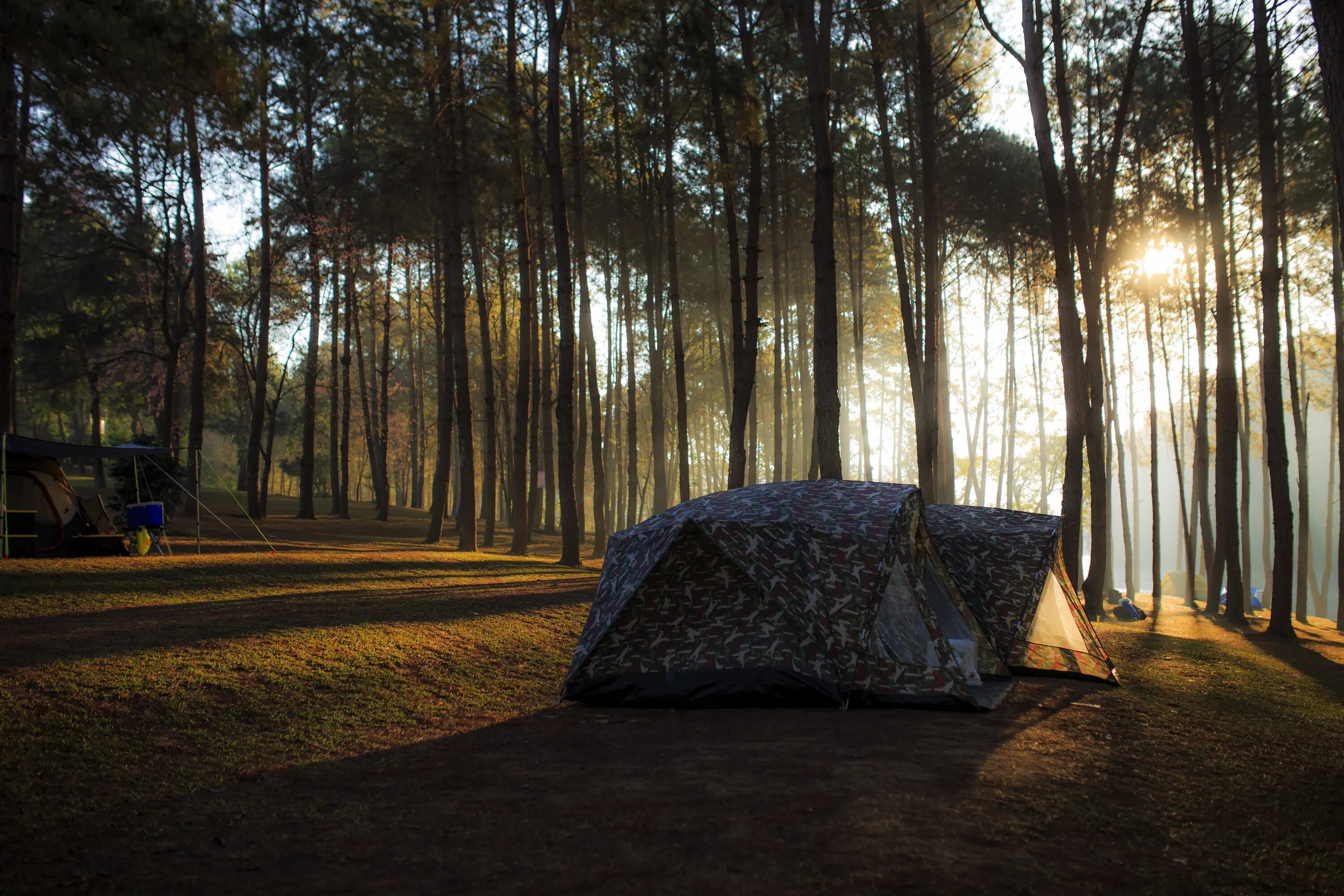 Camping pictures. Кемпинг Лесная Поляна Карелия. Кемпинг Форест. Шатер Camp Forest. Глэмпинг лес Сосновая роща.