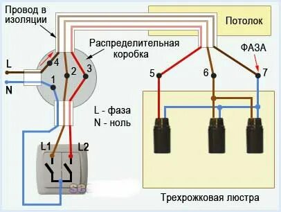 2 фазы на лампочке