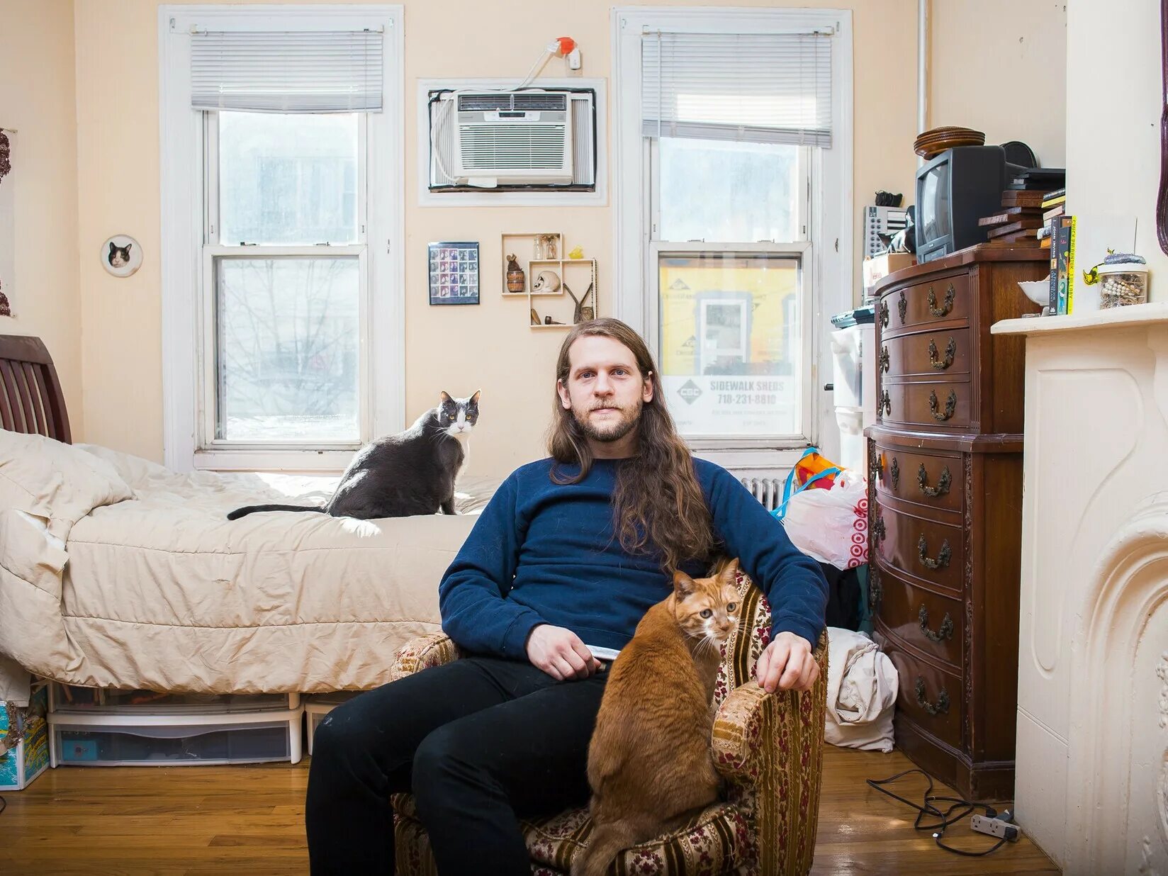 Девушка с кучей кошек. Сумасшедшие кошатники. Я кошатница. Любители кошек. Почему люди любят кошек психология.