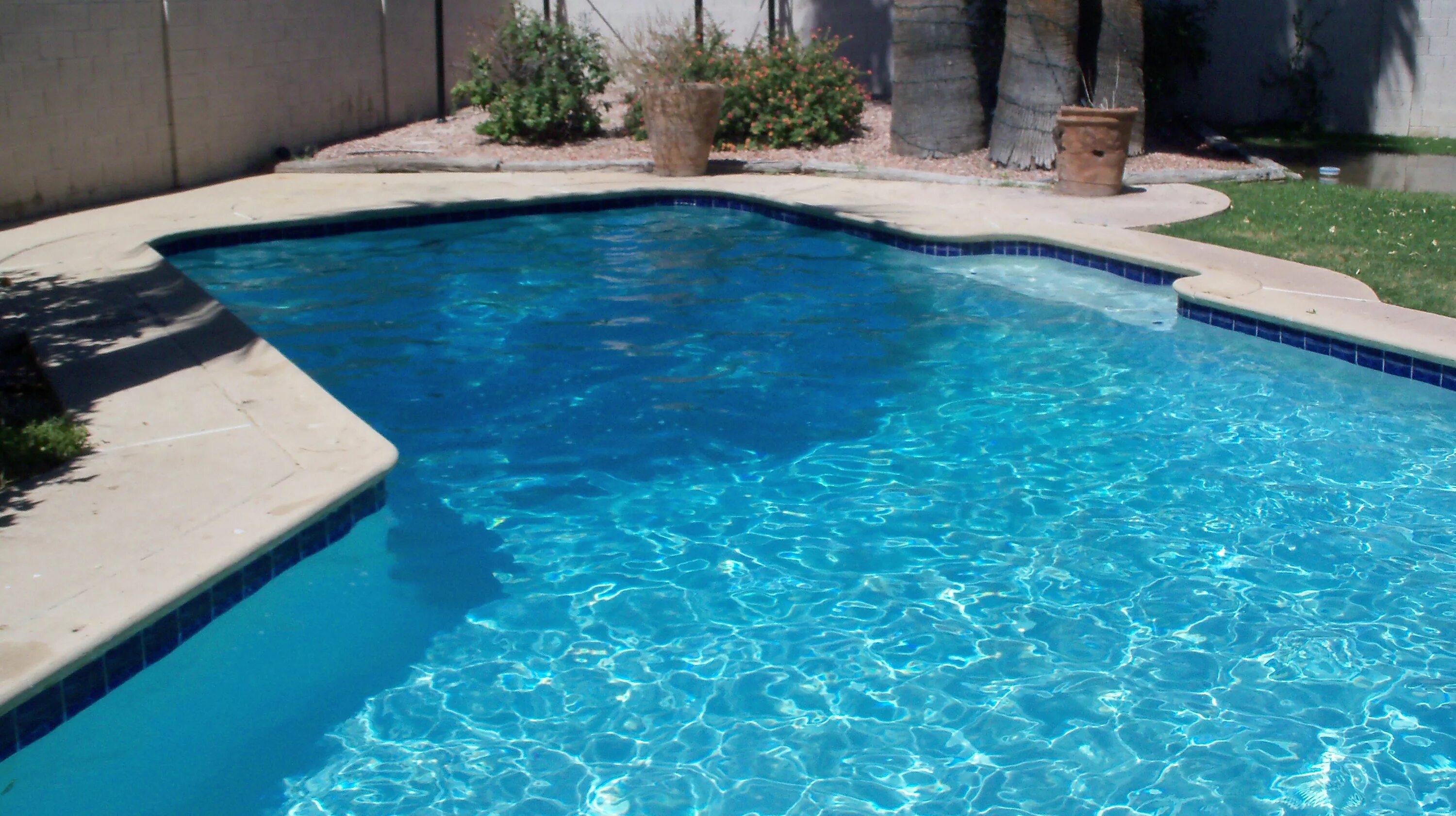 Sms pool. Pool & spa inspection. Ссммм. Sms pool. Swimspa e550.