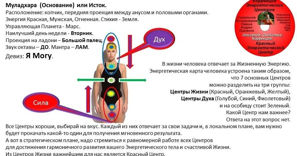 Муладхара расположение. Муладхара за что отвечает. Муладхара чакра. Первый энергетический центр муладхара. Где находятся чакры у человека.