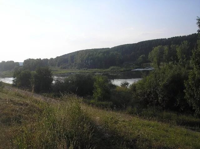 Кедры на сылве пермь