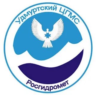 Удмуртский цсм