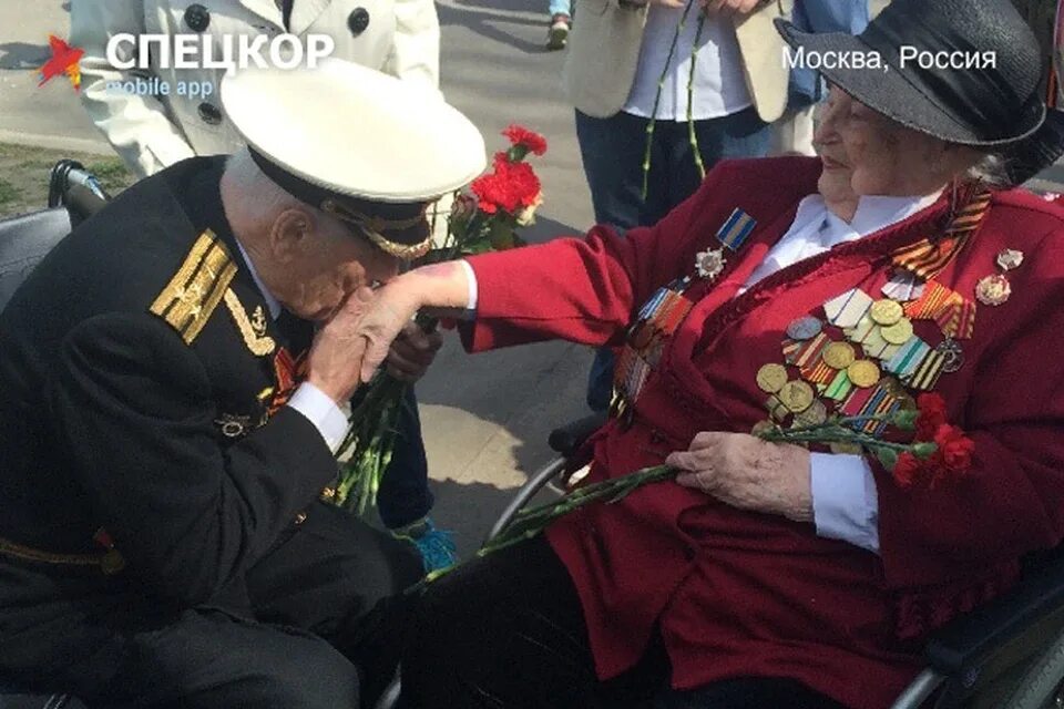 Ветеран целует руку. Фото ветеранов. Уважение к ветеранам. Руки ветерана. 9 мая ветераны.