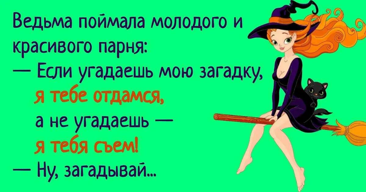 Ведьма прикол. Шутки про ведьм. Смешные высказывания про ведьм. Цитаты про ведьм прикольные. Ведьма читать юмор