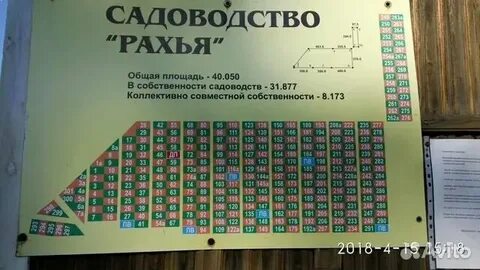 Пискаревка рахья