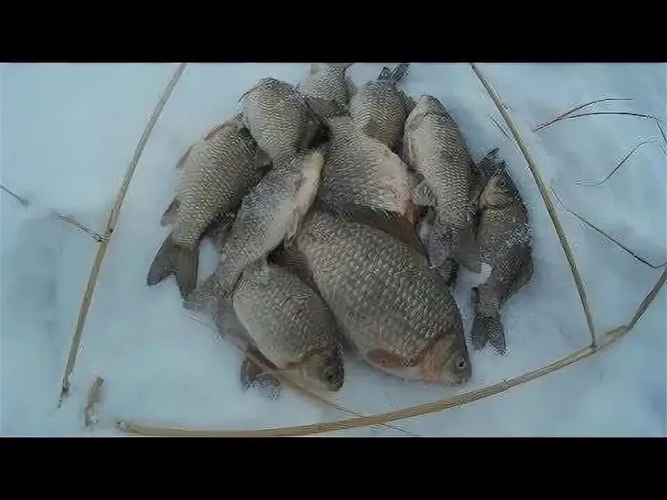 Рыбалка в курганской области. Зимняя рыбалка на карася в Курганской области 2021г. Озеро Куртан Курганская область. Рыбалка на карася зимой в Курганской области. Зимняя рыбалка в Курганской области.