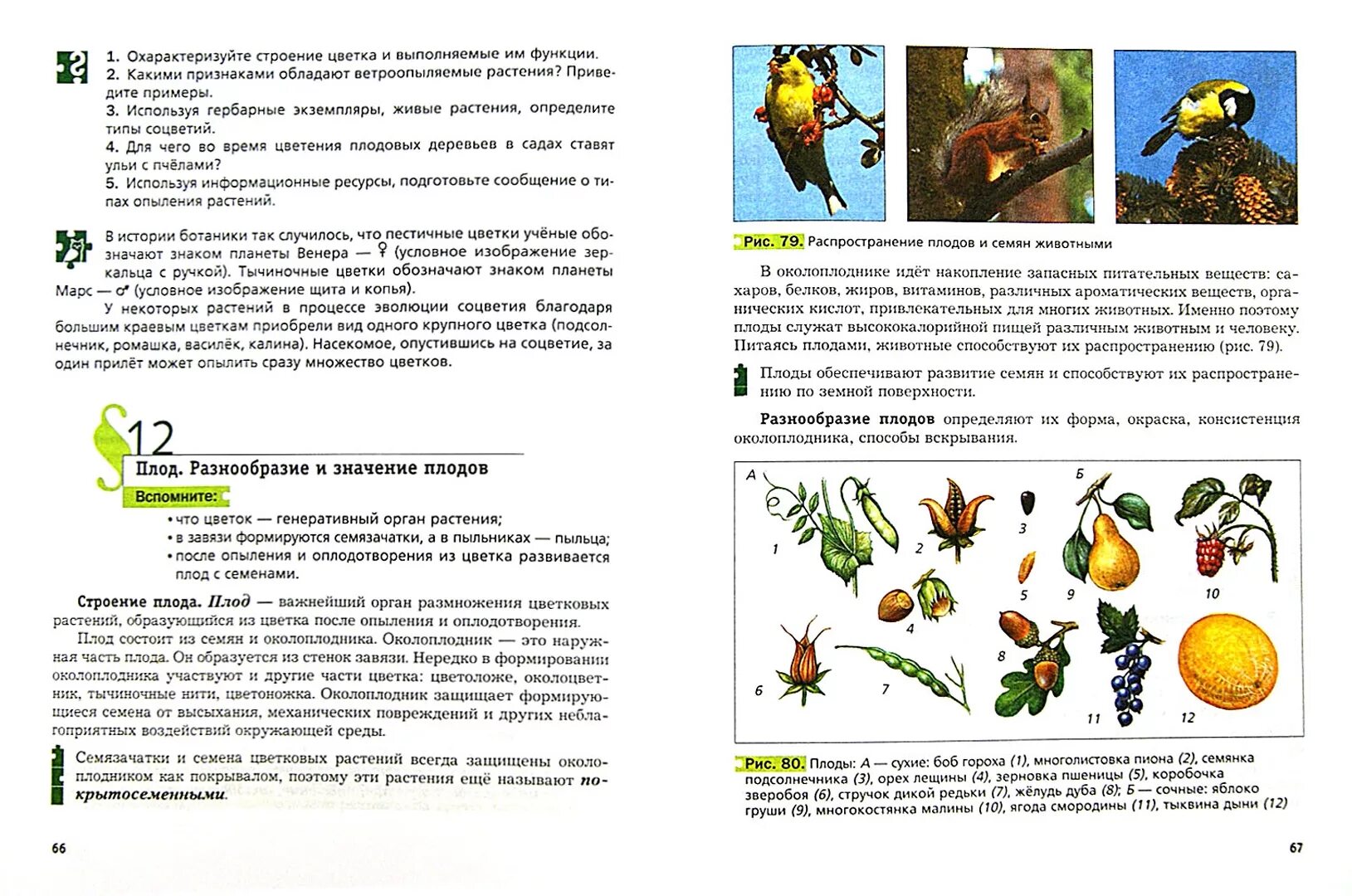 Учебник биологии 6 класс пономарева кратко