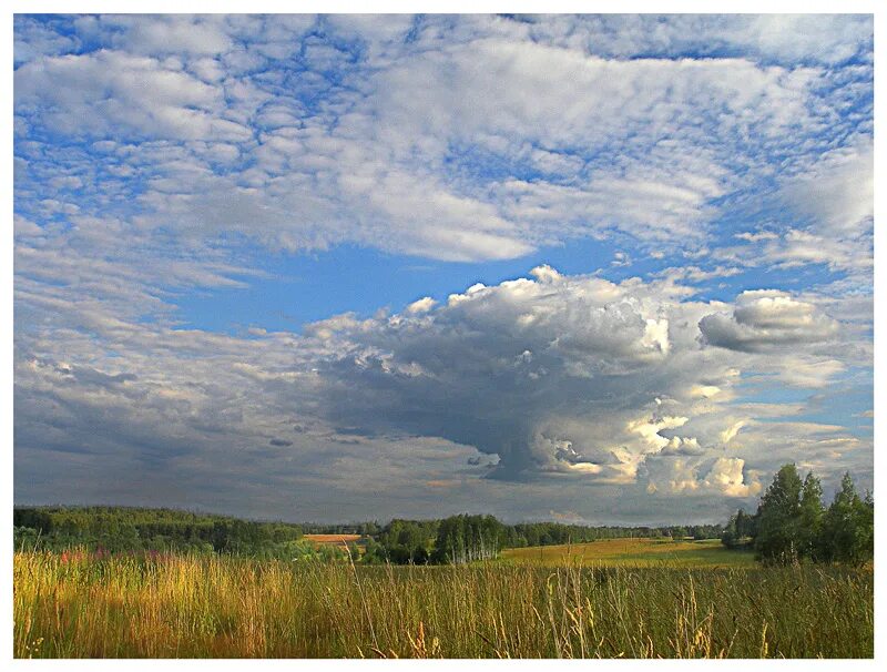 Родные просторы. Просторы фото. Родные просторы России. Фотографии на тему родные просторы. Поставь на простор