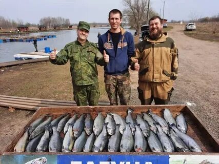 Лагуна рыбалка форум