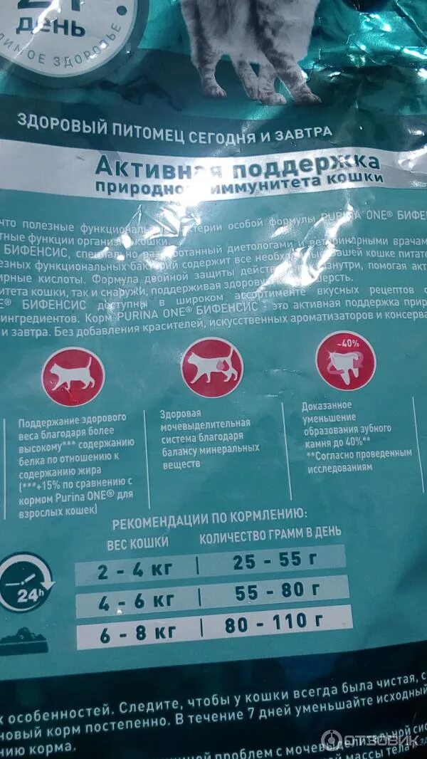 Сколько раз в день кормить кастрированного кота
