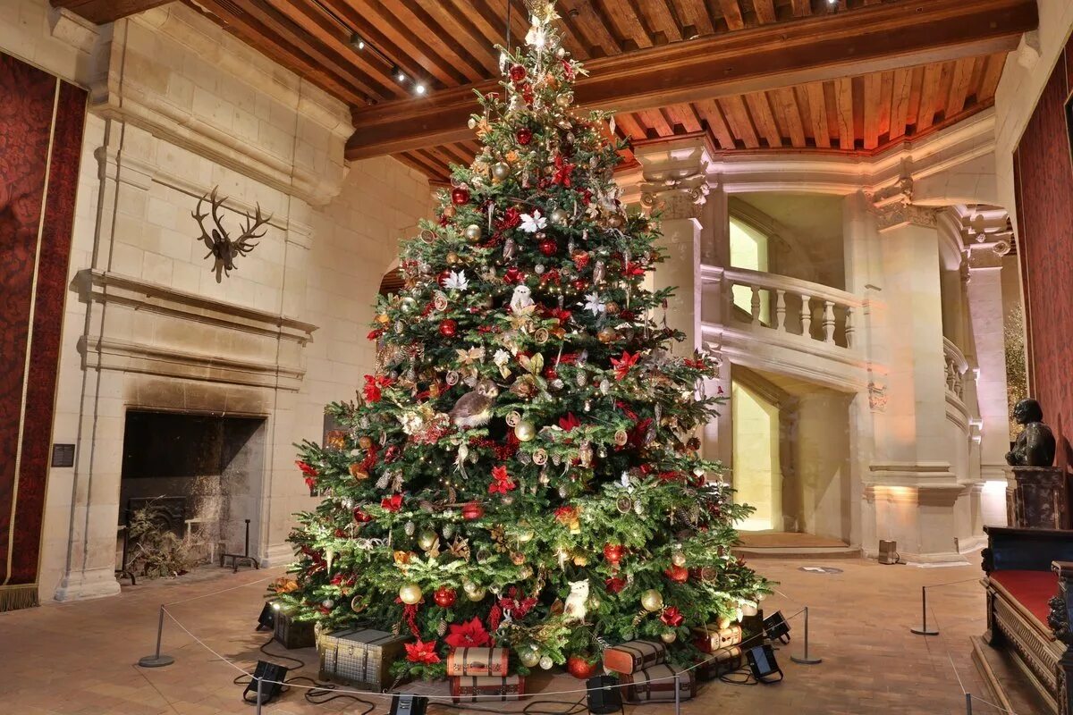 Родина рождественских елок. Рождественская елка в Германии. Елка в Германии на Рождество. Рождественская елка в Англии. Рождество в Великобритании.