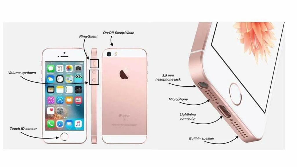 Почему айфон se. Iphone se 2020 кнопки. Iphone se 2020 RRRC[TVF. Iphone se 2020 схема. Строение iphone se 2020.