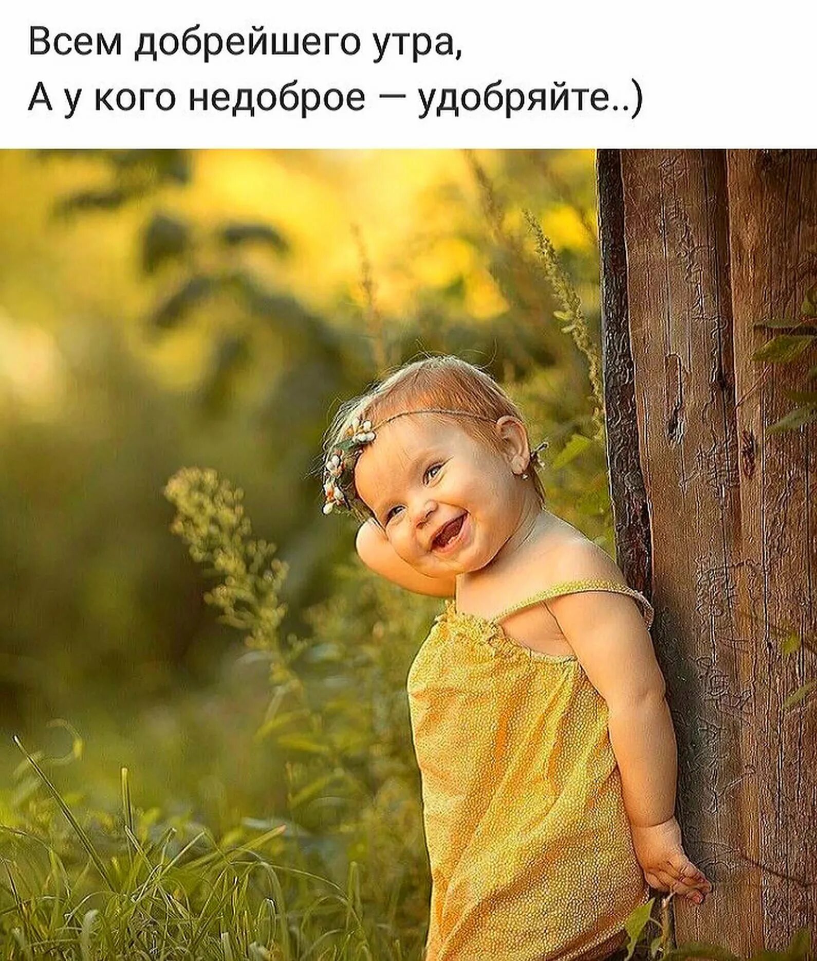 Доброго дня позитив юмор. Позитивного утра. позитивные картинки. доброе утро удобряйте. доброе утро дети.