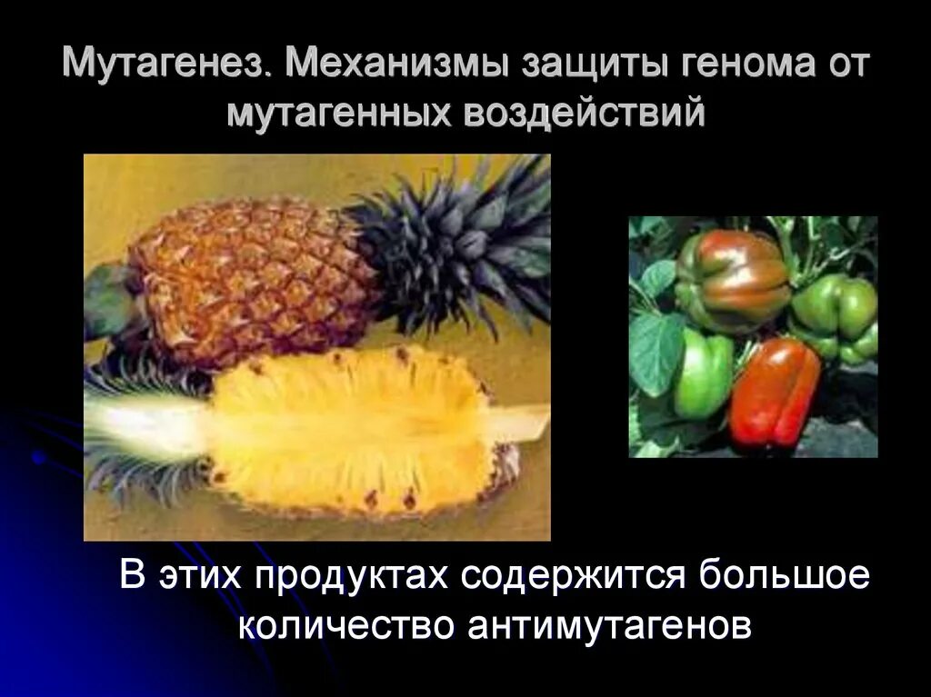 Примером применения в селекции искусственного мутагенеза является. Искусственный мутагенез растений. мутагенез примеры растений. искусственный мутагенез картинки. мутагенез в селекции растений.