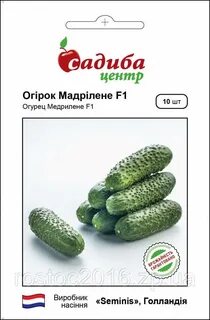 Огурец мадрилене f1 отзывы
