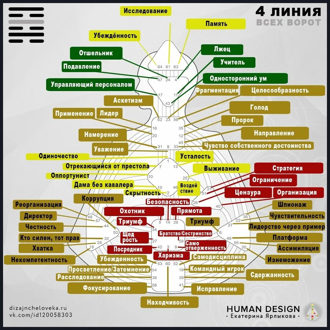 2 Линия всех ворот дизайн человека. Дизайн человека типы. Таблица генных ключей. Генные ключи расшифровка