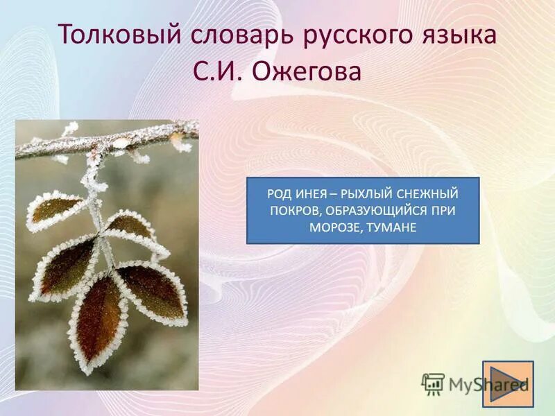 толкование слова изморозь. предложение со словом иней 2 класс. лексическое значение слова изморозь. толкование слова изморось. толкование слова изморозь.