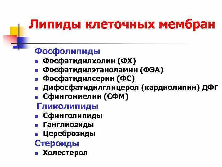 Липиды выполняющие строительную функцию. Основные функции липидов. Номенклатура липидов. Гликолипиды в мембране.