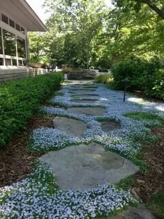 Path style