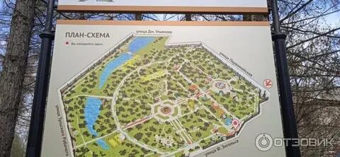 1 июня белоусовский парк тула