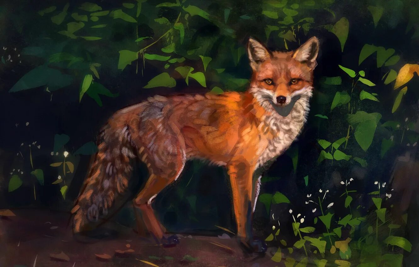 Лис на зеленом фоне. Шоаррский лис. лиса арт. лиса картина. лиса фэнтези.