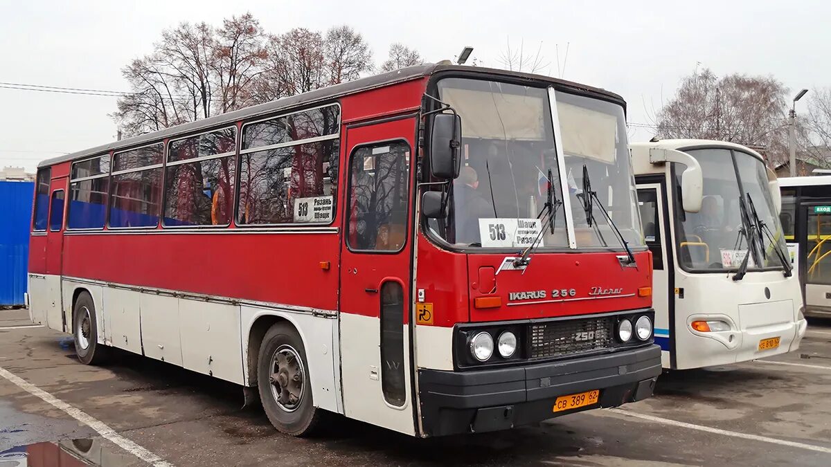 Автовокзалы рязанской области. Икарус 256.74. Ikarus 256. Икарус 256.21н. Икарус Шацк Рязань.