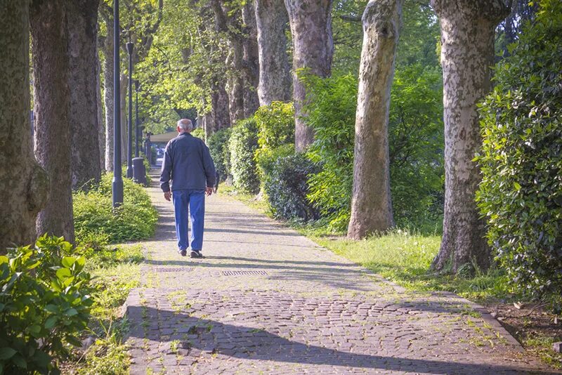 Парк гехт. Старокрюковский парк. Nick straker a walk in the park. Walked through the park. People in the park брэдфорд.