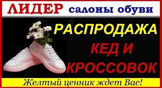 Лидер Димитровград обувь. Салон обуви Лидер Димитровград. Распродажа кроссовок баннер. Эмблема распродажикросссовки. Кроссовки на распродаже уценили на 20