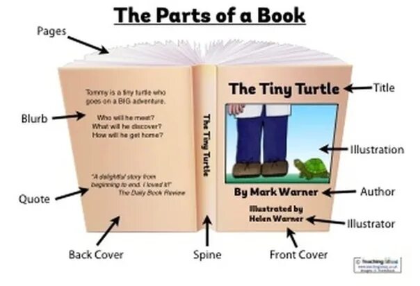 The book как создать. Book parts. части книги. книги на английском. части книги на английском.
