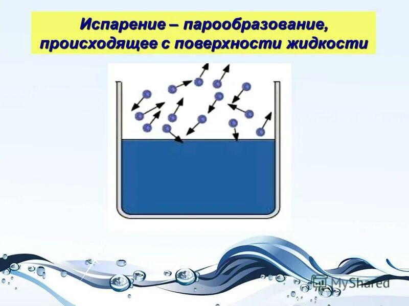 Какого агрегатного состояния кислород. Парообразование с поверхности жидкости. Парообразование происходящее с поверхности жидкости называется. Парообразование физика 8. Парообразование происходит не только с поверхности жидкости.