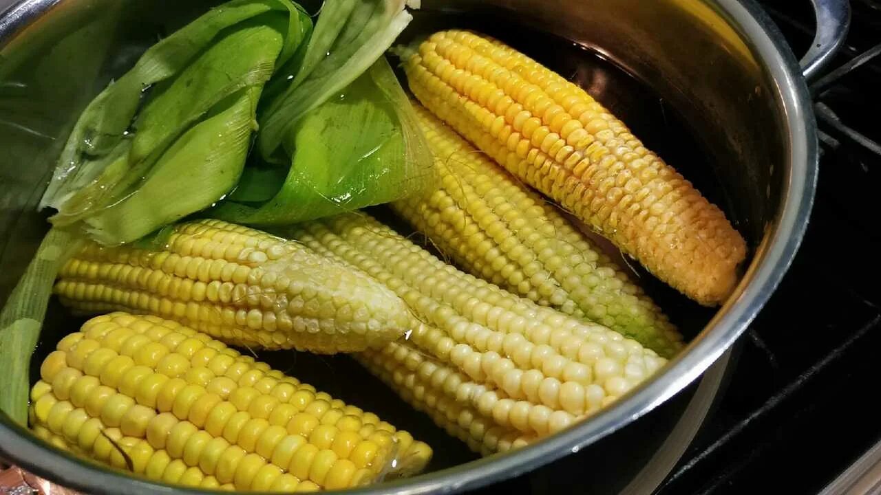 Сколько нужно варить кукурузу в кастрюле. Суп с початком кукурузы. варим кукурузу в скороварке. кукуруза в стаканчиках. вареная кукуруза в стакане.