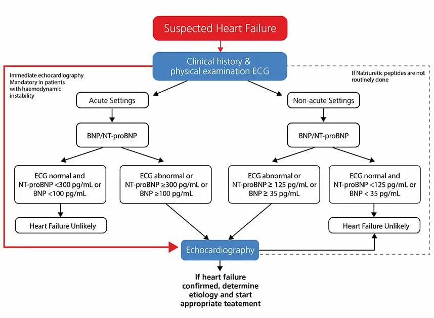 Result failure. Heart failure diagnosis. Heart failure Guidelines. Chronic Heart failure treatment. Acute Heart failure Guidelines 2020.