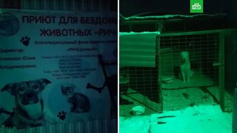 Искал приют