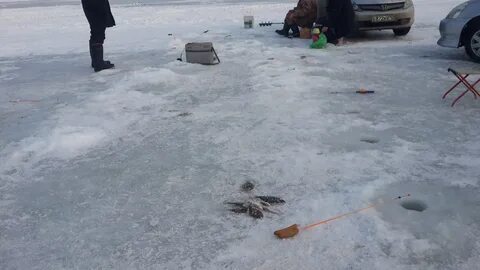 Погода в тавричанке приморского