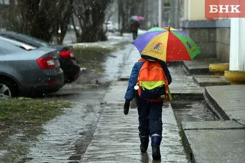 Поднялся частый дождь